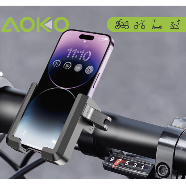 Bike Mount